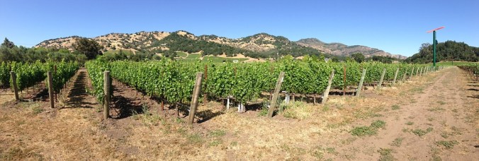 napa-valley-1279942_960_720